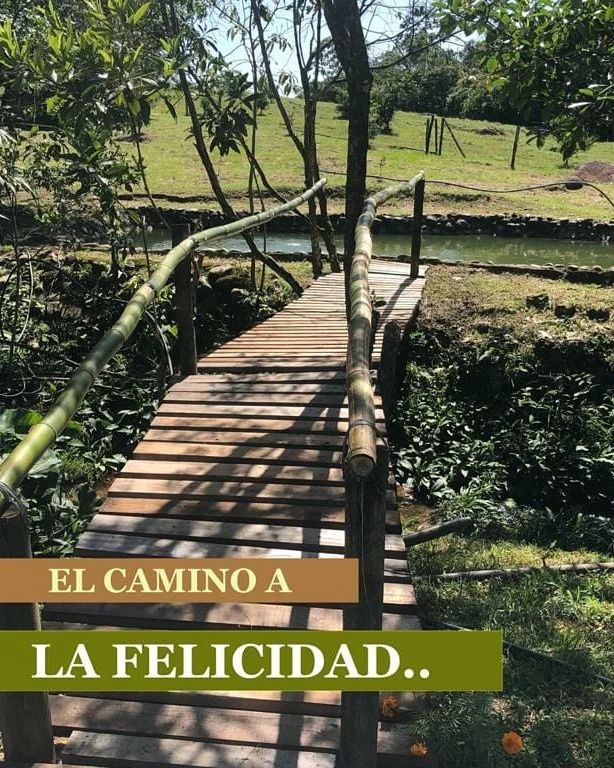 Simplemente el camino a la felicidad