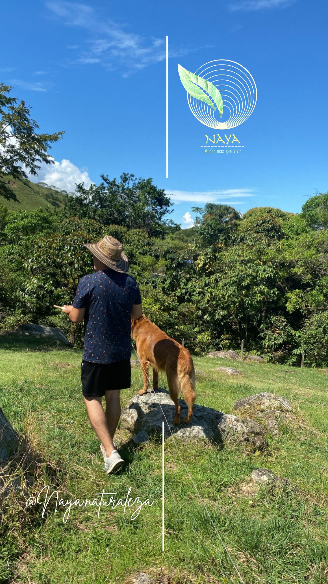 Tomate un tiempo para desconectarte de la ciudad, olvidar tus afanes y recargar tus energías